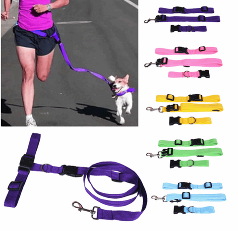 Jogging Dog Set (Leash + collar + Jogging Belt)
