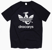 Dracarys T-shirts Collection (unisex)