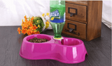 Double Bowl Feeder + Automatic Watering