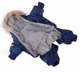 Dogs Winter Coat (XS-XL)