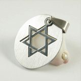 Curved Plate Star of David Pendant Necklace