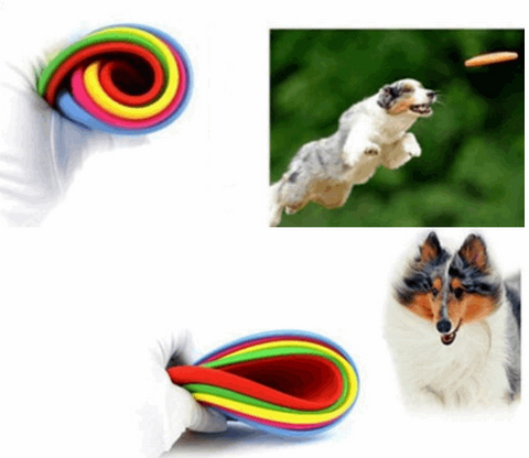 Dogs Frisbee
