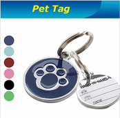 Doggy Tag Name