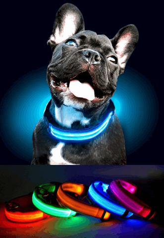 Adjustable LED Pet Collar (XS-L)