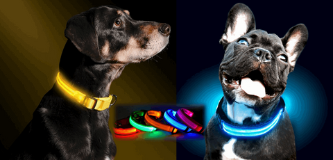 Adjustable LED Pet Collar (XS-L)