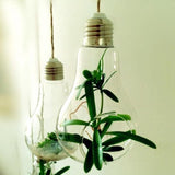 Bulb Hanging Planter