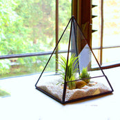 Glass Panel Terrarium Planter