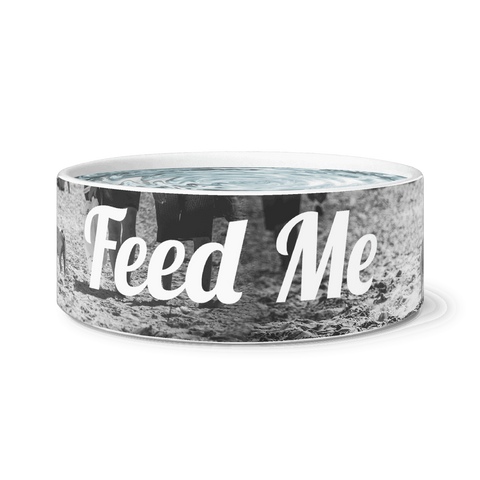 Ceramic Frenchie  Water/Food Bowl